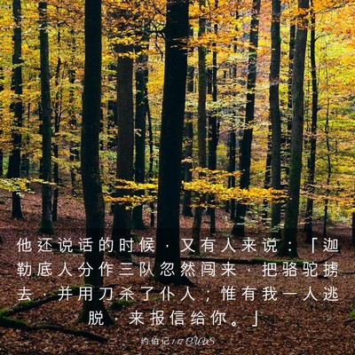 Picture 03 - 约 伯 记 1:17 CUVS - 他 还 说 话 的 时 候 ， 又 有 人 来 - Bible Verse Picture