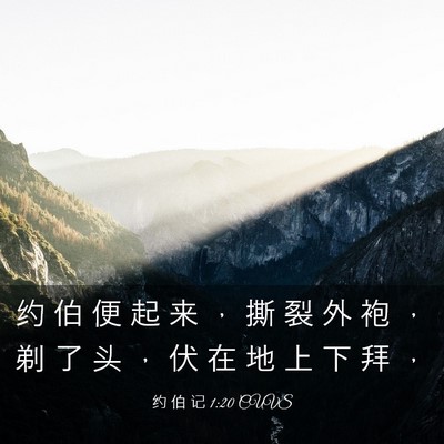 Picture 03 - 约 伯 记 1:20 CUVS - 约 伯 便 起 来 ， 撕 裂 外 袍 ， 剃 - Bible Verse Picture