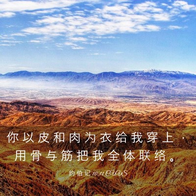 Picture 03 - 约 伯 记 10:11 CUVS - 你 以 皮 和 肉 为 衣 给 我 穿 上 ， - Bible Verse Picture