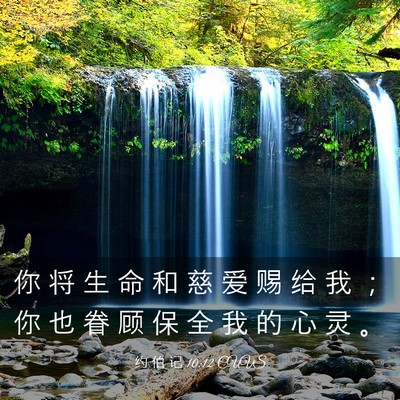Picture 03 - 约 伯 记 10:12 CUVS - 你 将 生 命 和 慈 爱 赐 给 我 ； 你 - Bible Verse Picture