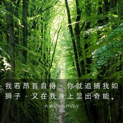 Picture 03 - 约 伯 记 10:16 CUVS - 我 若 昂 首 自 得 ， 你 就 追 捕 我 - Bible Verse Picture