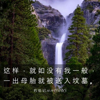 Picture 03 - 约 伯 记 10:19 CUVS - 这 样 ， 就 如 没 有 我 一 般 ， 一 - Bible Verse Picture