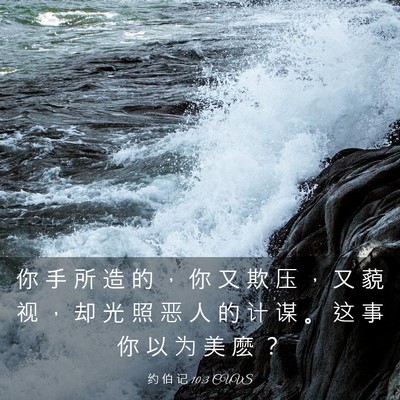 Picture 03 - 约 伯 记 10:3 CUVS - 你 手 所 造 的 ， 你 又 欺 压 ， 又 - Bible Verse Picture