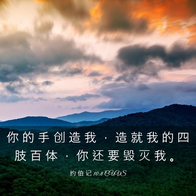 Picture 03 - 约 伯 记 10:8 CUVS - 你 的 手 创 造 我 ， 造 就 我 的 四 - Bible Verse Picture