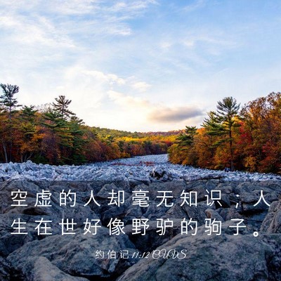 Picture 03 - 约 伯 记 11:12 CUVS - 空 虚 的 人 却 毫 无 知 识 ； 人 生 - Bible Verse Picture