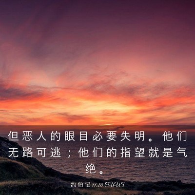 Picture 03 - 约 伯 记 11:20 CUVS - 但 恶 人 的 眼 目 必 要 失 明 。 他 - Bible Verse Picture