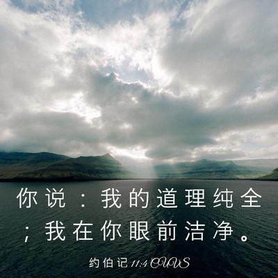 Picture 03 - 约 伯 记 11:4 CUVS - 你 说 ： 我 的 道 理 纯 全 ； 我 在 - Bible Verse Picture