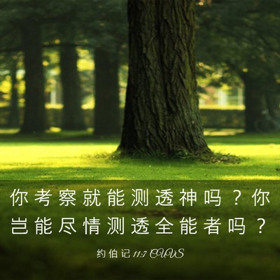 Picture 03 - 约 伯 记 11:7 CUVS - 你 考 察 就 能 测 透 神 吗 ？ 你 岂 - Bible Verse Picture