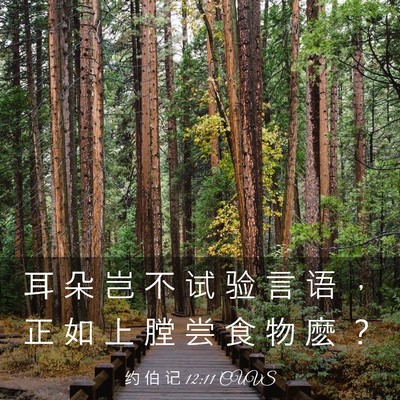 Picture 03 - 约 伯 记 12:11 CUVS - 耳 朵 岂 不 试 验 言 语 ， 正 如 上 - Bible Verse Picture