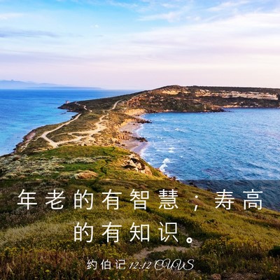 Picture 03 - 约 伯 记 12:12 CUVS - 年 老 的 有 智 慧 ； 寿 高 的 有 知 - Bible Verse Picture