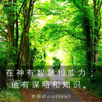 Picture 03 - 约 伯 记 12:13 CUVS - 在 神 有 智 慧 和 能 力 ； 他 有 谋 - Bible Verse Picture