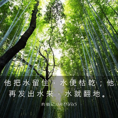 Picture 03 - 约 伯 记 12:15 CUVS - 他 把 水 留 住 ， 水 便 枯 乾 ； 他 - Bible Verse Picture