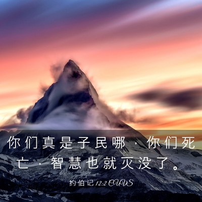 Picture 03 - 约 伯 记 12:2 CUVS - 你 们 真 是 子 民 哪 ， 你 们 死 亡 - Bible Verse Picture