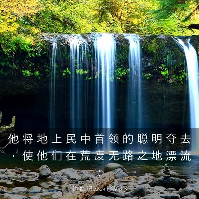 Picture 03 - 约 伯 记 12:24 CUVS - 他 将 地 上 民 中 首 领 的 聪 明 夺 - Bible Verse Picture