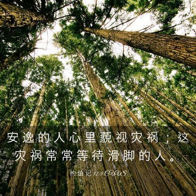 Picture 03 - 约 伯 记 12:5 CUVS - 安 逸 的 人 心 里 藐 视 灾 祸 ； 这 - Bible Verse Picture