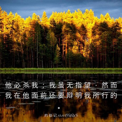 Picture 03 - 约 伯 记 13:15 CUVS - 他 必 杀 我 ； 我 虽 无 指 望 ， 然 - Bible Verse Picture