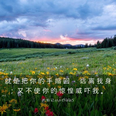 Picture 03 - 约 伯 记 13:21 CUVS - 就 是 把 你 的 手 缩 回 ， 远 离 我 - Bible Verse Picture