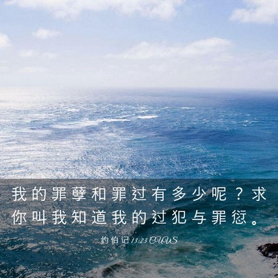 Picture 03 - 约 伯 记 13:23 CUVS - 我 的 罪 孽 和 罪 过 有 多 少 呢 ？ - Bible Verse Picture