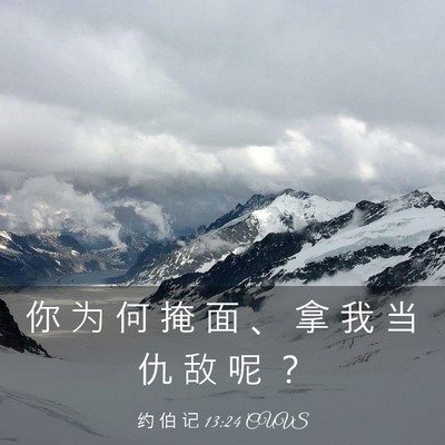 Picture 03 - 约 伯 记 13:24 CUVS - 你 为 何 掩 面 、 拿 我 当 仇 敌 呢 - Bible Verse Picture