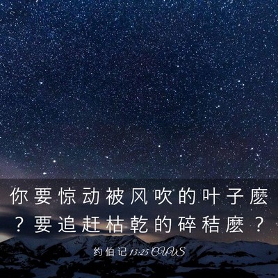 Picture 03 - 约 伯 记 13:25 CUVS - 你 要 惊 动 被 风 吹 的 叶 子 麽 ？ - Bible Verse Picture