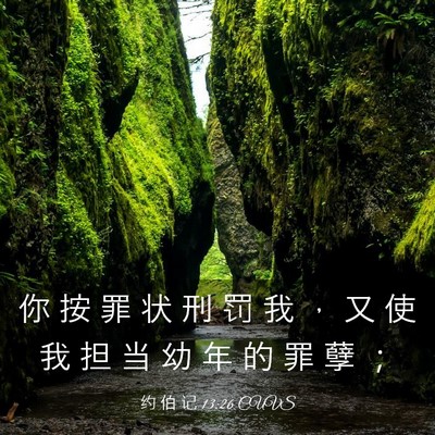 Picture 03 - 约 伯 记 13:26 CUVS - 你 按 罪 状 刑 罚 我 ， 又 使 我 担 - Bible Verse Picture