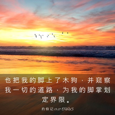 Picture 03 - 约 伯 记 13:27 CUVS - 也 把 我 的 脚 上 了 木 狗 ， 并 窥 - Bible Verse Picture