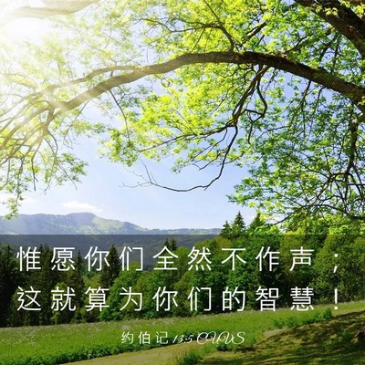 Picture 03 - 约 伯 记 13:5 CUVS - 惟 愿 你 们 全 然 不 作 声 ； 这 就 - Bible Verse Picture