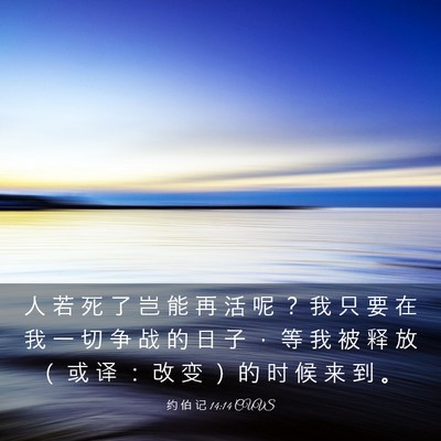 Picture 03 - 约 伯 记 14:14 CUVS - 人 若 死 了 岂 能 再 活 呢 ？ 我 只 - Bible Verse Picture