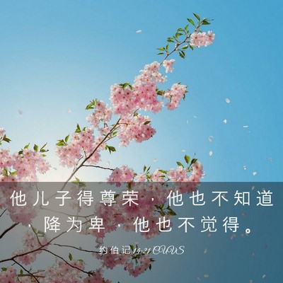Picture 03 - 约 伯 记 14:21 CUVS - 他 儿 子 得 尊 荣 ， 他 也 不 知 道 - Bible Verse Picture