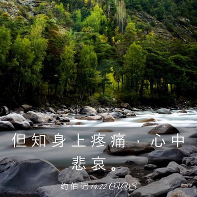 Picture 03 - 约 伯 记 14:22 CUVS - 但 知 身 上 疼 痛 ， 心 中 悲 哀 - Bible Verse Picture