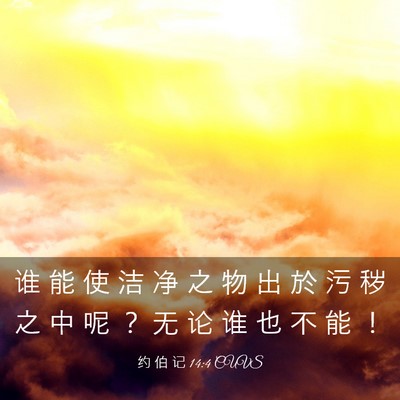 Picture 03 - 约 伯 记 14:4 CUVS - 谁 能 使 洁 净 之 物 出 於 污 秽 之 - Bible Verse Picture