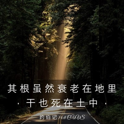 Picture 03 - 约 伯 记 14:8 CUVS - 其 根 虽 然 衰 老 在 地 里 ， 干 也 - Bible Verse Picture