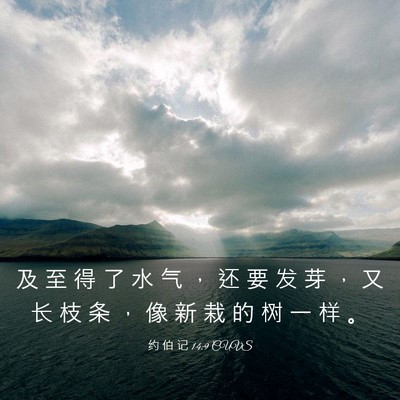 Picture 03 - 约 伯 记 14:9 CUVS - 及 至 得 了 水 气 ， 还 要 发 芽 ， - Bible Verse Picture