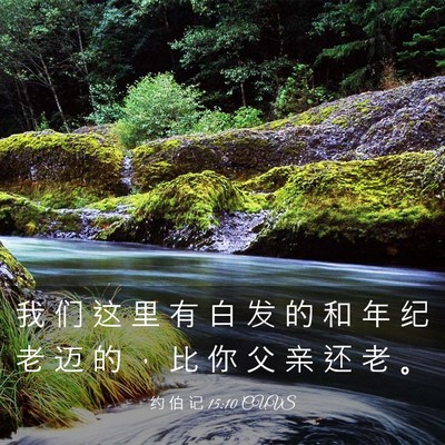 Picture 03 - 约 伯 记 15:10 CUVS - 我 们 这 里 有 白 发 的 和 年 纪 老 - Bible Verse Picture