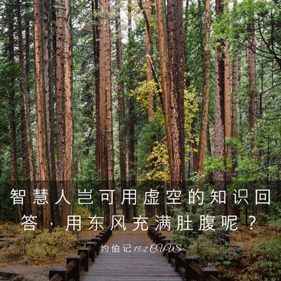 Picture 03 - 约 伯 记 15:2 CUVS - 智 慧 人 岂 可 用 虚 空 的 知 识 回 - Bible Verse Picture
