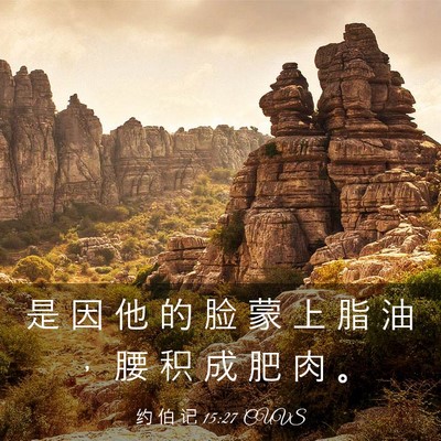 Picture 03 - 约 伯 记 15:27 CUVS - 是 因 他 的 脸 蒙 上 脂 油 ， 腰 积 - Bible Verse Picture