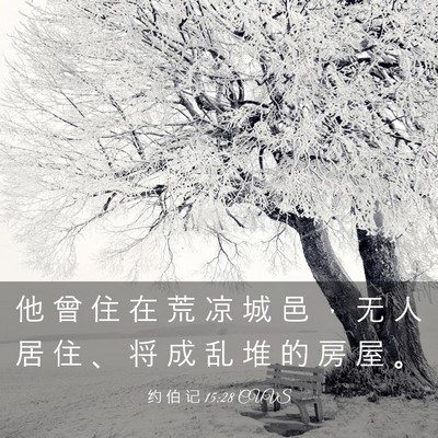Picture 03 - 约 伯 记 15:28 CUVS - 他 曾 住 在 荒 凉 城 邑 ， 无 人 居 - Bible Verse Picture