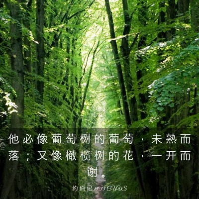 Picture 03 - 约 伯 记 15:33 CUVS - 他 必 像 葡 萄 树 的 葡 萄 ， 未 熟 - Bible Verse Picture