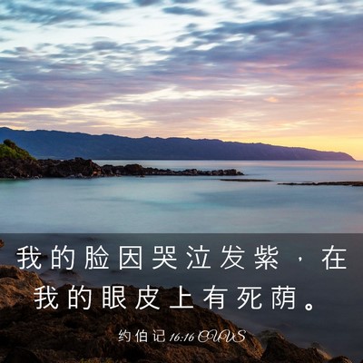 Picture 03 - 约 伯 记 16:16 CUVS - 我 的 脸 因 哭 泣 发 紫 ， 在 我 的 - Bible Verse Picture