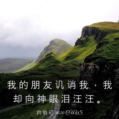 Picture 03 - 约 伯 记 16:20 CUVS - 我 的 朋 友 讥 诮 我 ， 我 却 向 神 - Bible Verse Picture