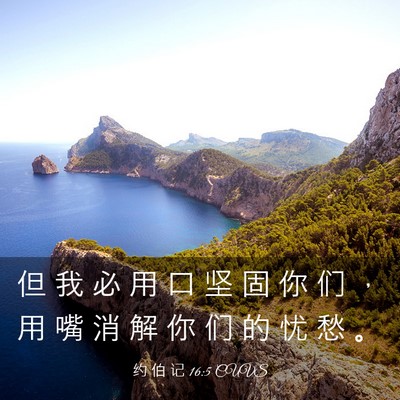 Picture 03 - 约 伯 记 16:5 CUVS - 但 我 必 用 口 坚 固 你 们 ， 用 嘴 - Bible Verse Picture