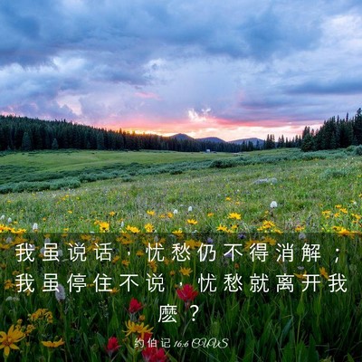 Picture 03 - 约 伯 记 16:6 CUVS - 我 虽 说 话 ， 忧 愁 仍 不 得 消 解 - Bible Verse Picture