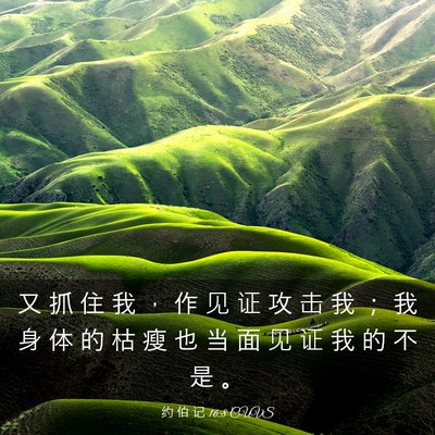 Picture 03 - 约 伯 记 16:8 CUVS - 又 抓 住 我 ， 作 见 证 攻 击 我 ； - Bible Verse Picture