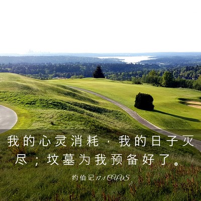 Picture 03 - 约 伯 记 17:1 CUVS - 我 的 心 灵 消 耗 ， 我 的 日 子 灭 - Bible Verse Picture