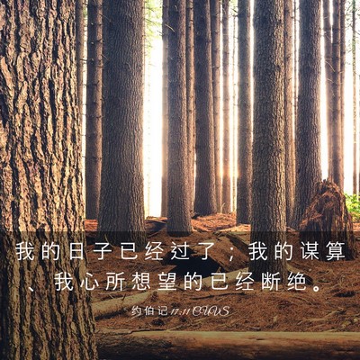 Picture 03 - 约 伯 记 17:11 CUVS - 我 的 日 子 已 经 过 了 ； 我 的 谋 - Bible Verse Picture