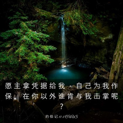 Picture 03 - 约 伯 记 17:3 CUVS - 愿 主 拿 凭 据 给 我 ， 自 己 为 我 - Bible Verse Picture