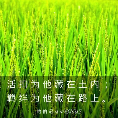 Picture 03 - 约 伯 记 18:10 CUVS - 活 扣 为 他 藏 在 土 内 ； 羁 绊 为 - Bible Verse Picture