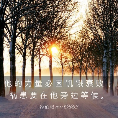 Picture 03 - 约 伯 记 18:12 CUVS - 他 的 力 量 必 因 饥 饿 衰 败 ； 祸 - Bible Verse Picture
