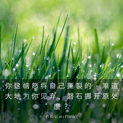 Picture 03 - 约 伯 记 18:4 CUVS - 你 这 恼 怒 将 自 己 撕 裂 的 ， 难 - Bible Verse Picture