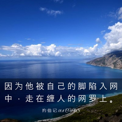 Picture 03 - 约 伯 记 18:8 CUVS - 因 为 他 被 自 己 的 脚 陷 入 网 中 - Bible Verse Picture